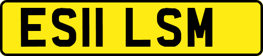 ES11LSM
