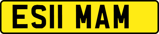 ES11MAM