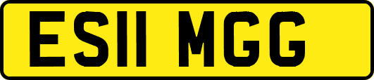 ES11MGG