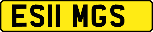 ES11MGS
