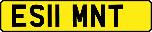 ES11MNT