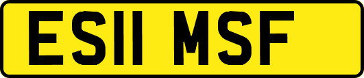ES11MSF