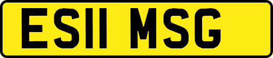 ES11MSG