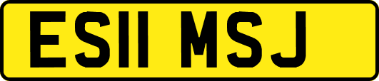 ES11MSJ