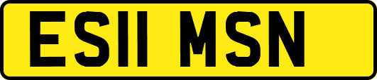 ES11MSN