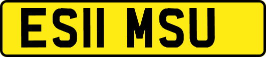 ES11MSU