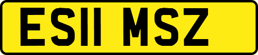 ES11MSZ