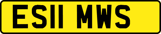 ES11MWS