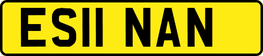 ES11NAN
