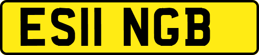 ES11NGB