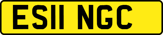 ES11NGC