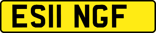 ES11NGF