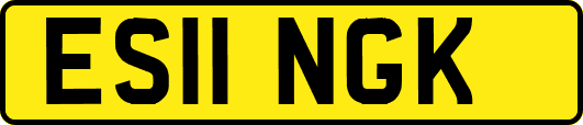 ES11NGK