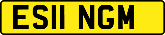 ES11NGM