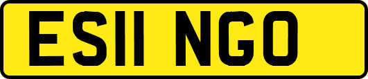 ES11NGO
