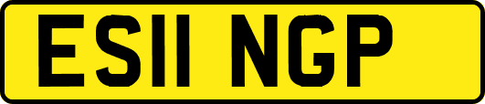 ES11NGP