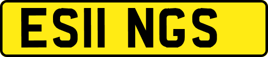 ES11NGS