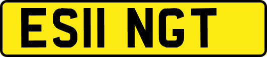 ES11NGT