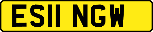 ES11NGW