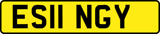 ES11NGY