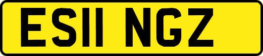ES11NGZ