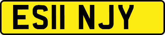 ES11NJY
