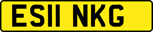 ES11NKG