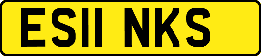 ES11NKS