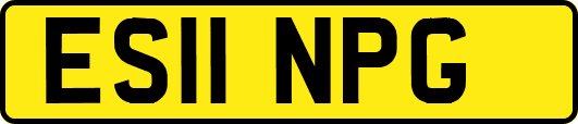 ES11NPG