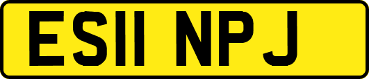 ES11NPJ