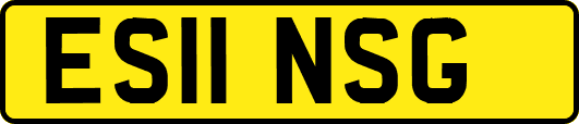ES11NSG