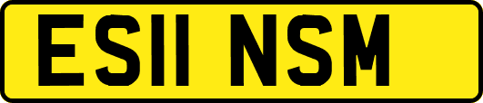 ES11NSM