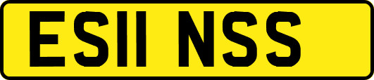 ES11NSS