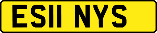 ES11NYS