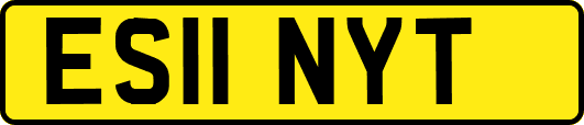 ES11NYT