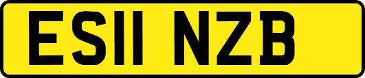 ES11NZB