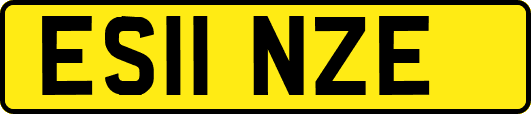 ES11NZE