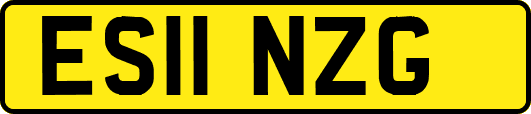 ES11NZG