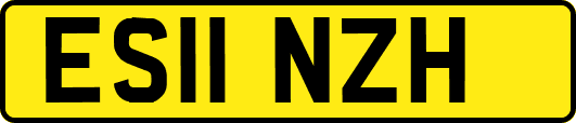 ES11NZH