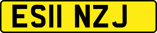 ES11NZJ