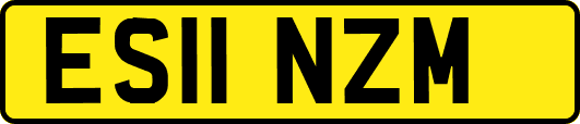ES11NZM