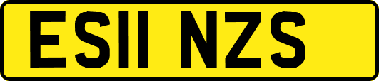 ES11NZS