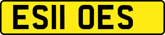 ES11OES