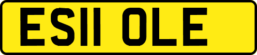 ES11OLE