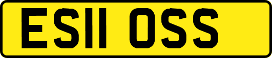 ES11OSS