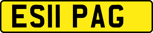 ES11PAG
