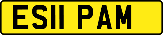 ES11PAM
