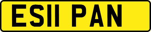ES11PAN