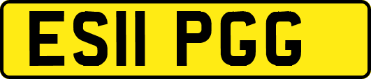 ES11PGG