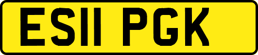 ES11PGK